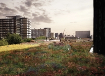 Hoe in Rotterdam duurzame daken de norm worden