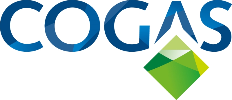 Vacature Alert; Senior Projectleider Cogas